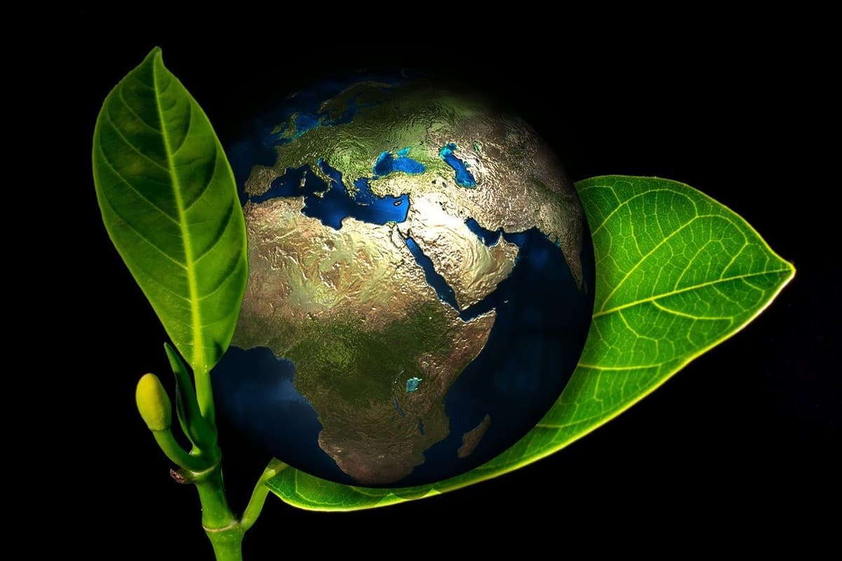 Solfin Vision: Sustainable Future and Green Energy Solutions